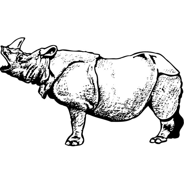 RHINO003 Thumbnail